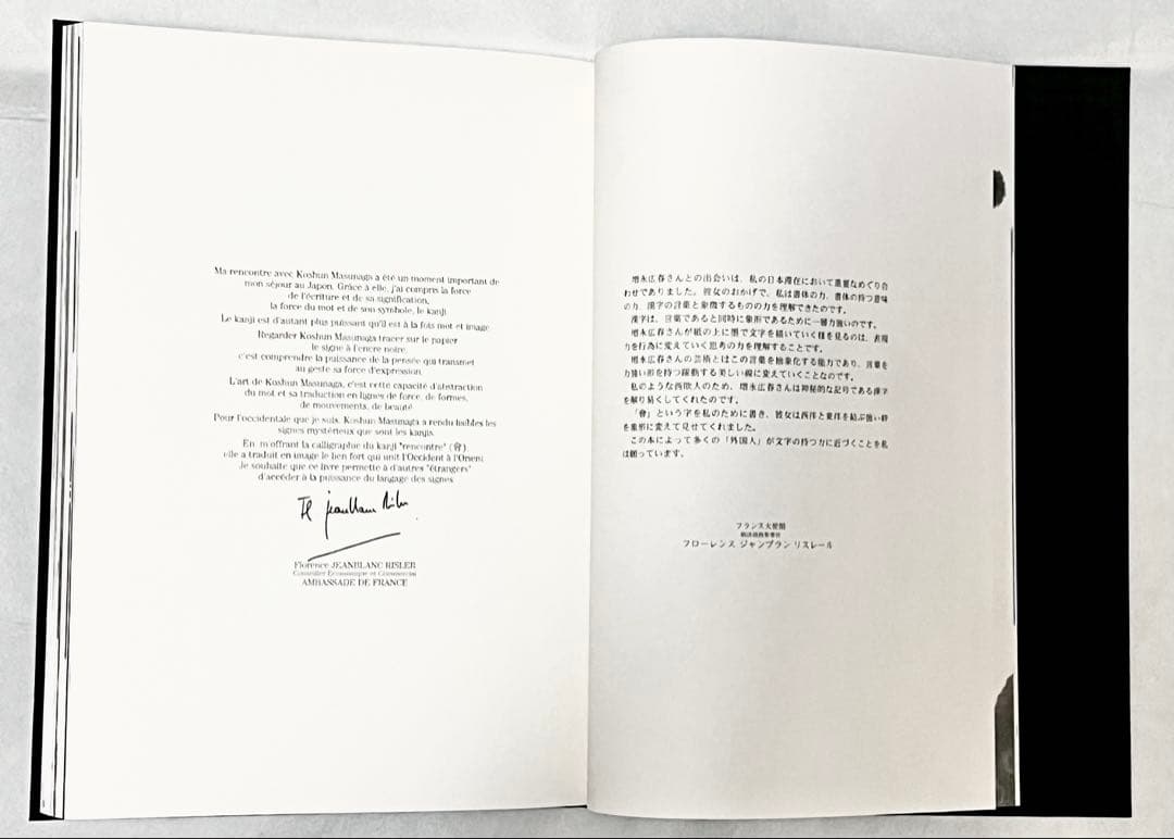 【2000冊限定】長野オリ書道家 増永広春氏作品集 走墨 1999年 超美品