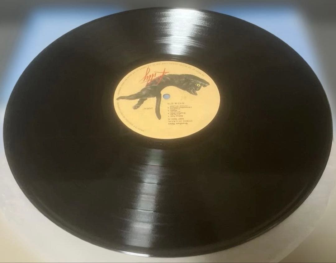 高中正義 LP2枚まとめ売り