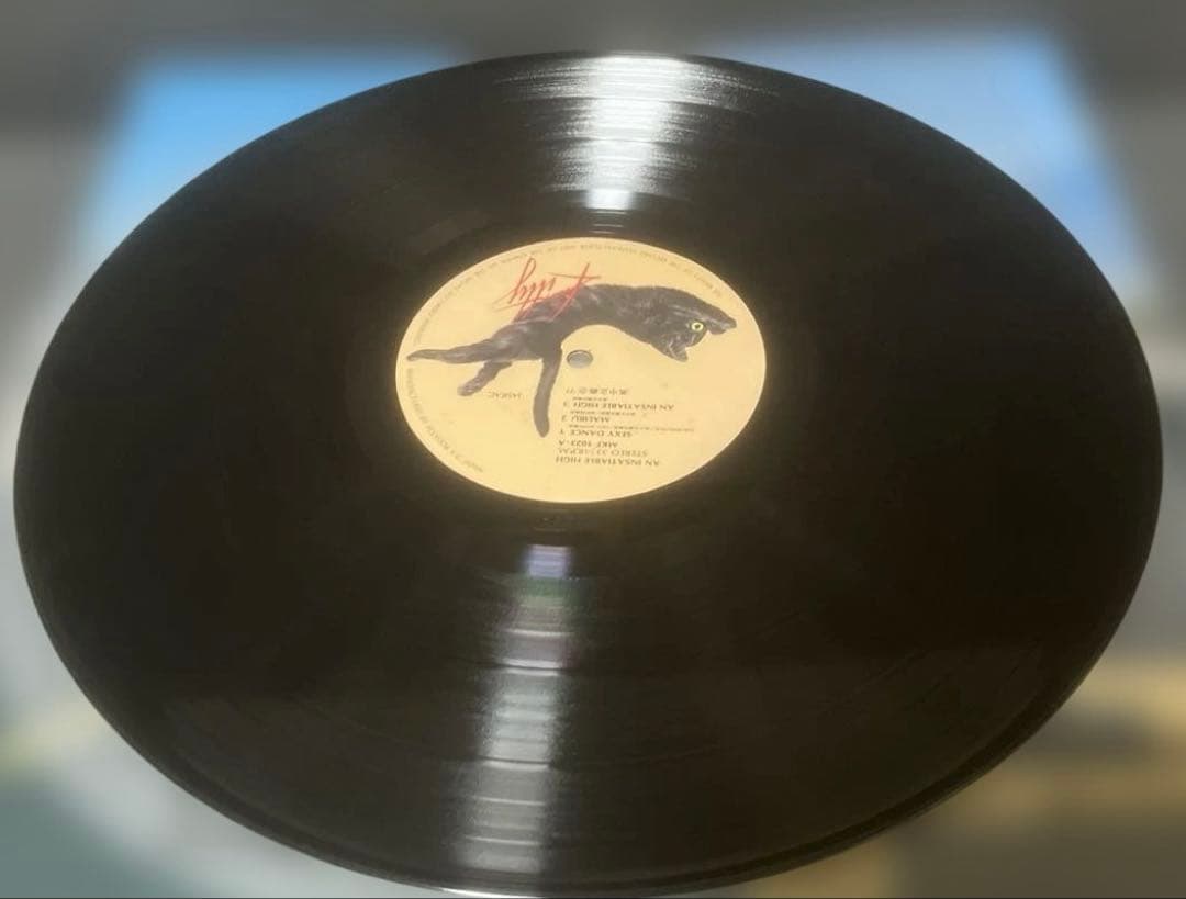 高中正義 LP2枚まとめ売り