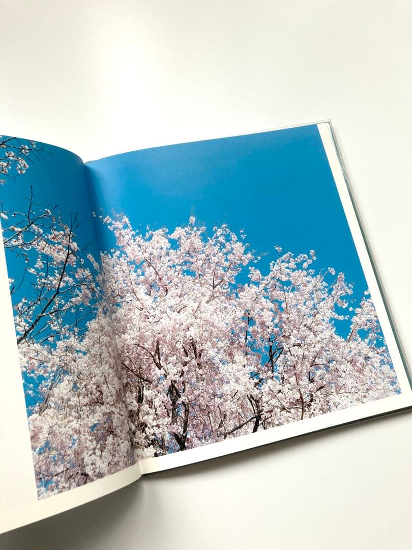 鈴木理策　写真集「HYSTERIC EIGHT 」 吉野山　桜　風景　青空　花