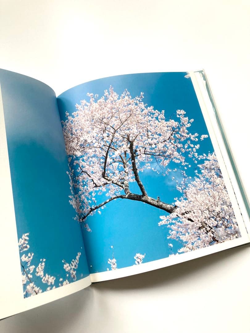 鈴木理策　写真集「HYSTERIC EIGHT 」 吉野山　桜　風景　青空　花