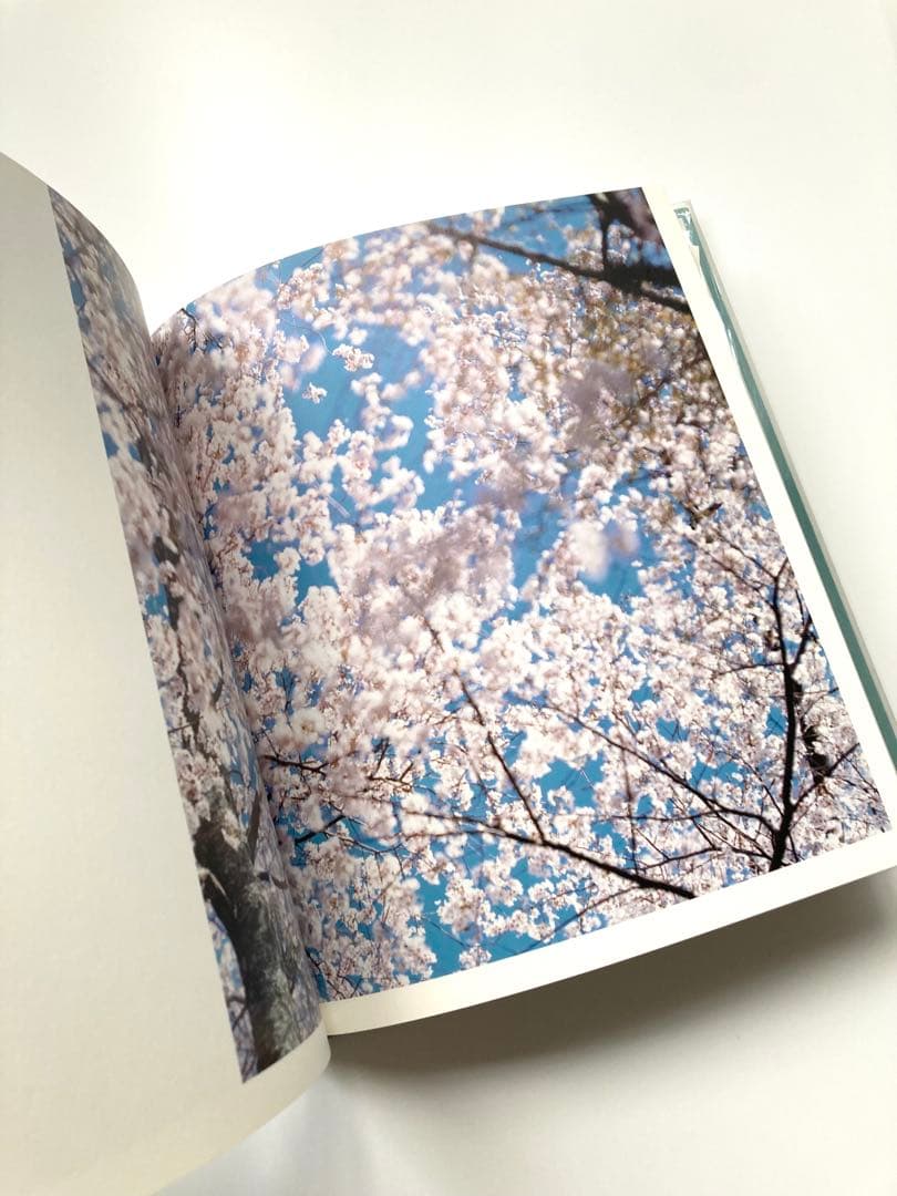 鈴木理策　写真集「HYSTERIC EIGHT 」 吉野山　桜　風景　青空　花