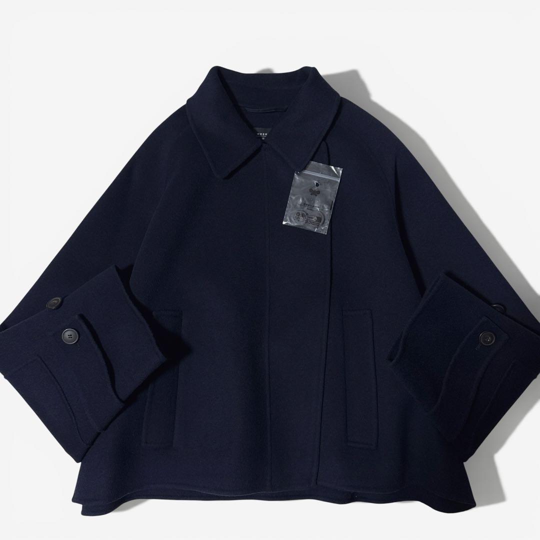 極美品✨️25AW　今季　マックスマーラ　クチートアマーノ　CARELLA　42