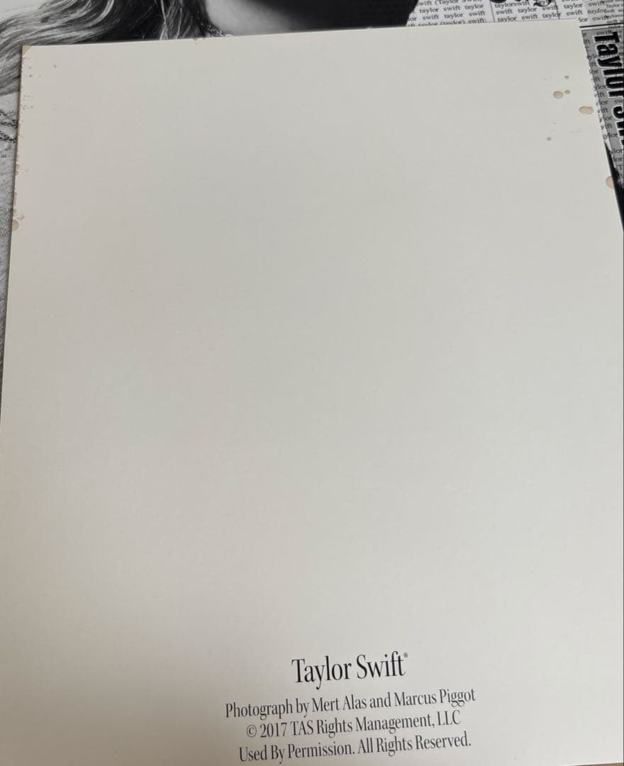 洋楽 TaylorSwift\"reputationstadiumtour\"VIPBOX