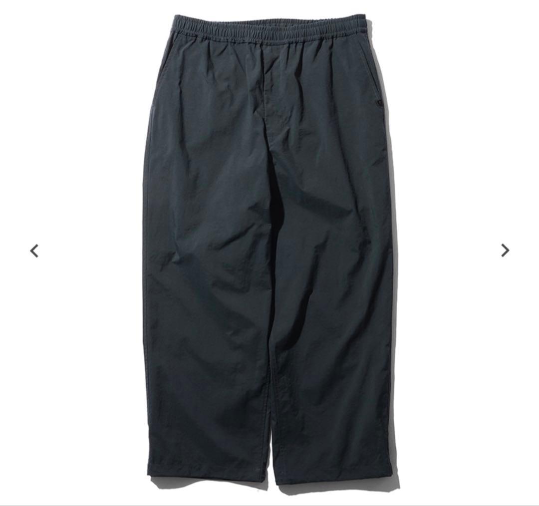 DAIWA PIER39 セットアップ インクブラック　TECH