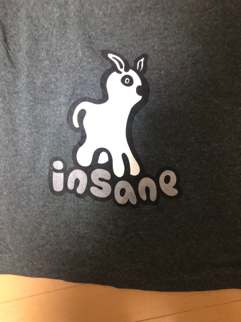 A*A様 インセイン ロンT