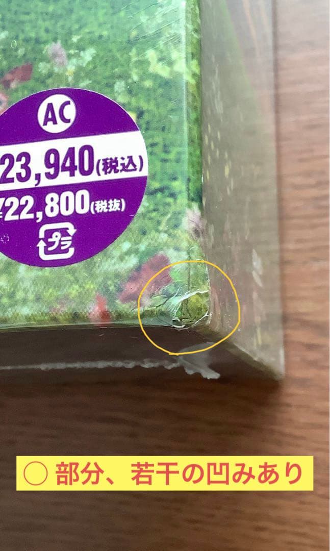 ビューティフル ライフ　ふたりでいた日々 DVD-BOX 新品・シナリオ本セット