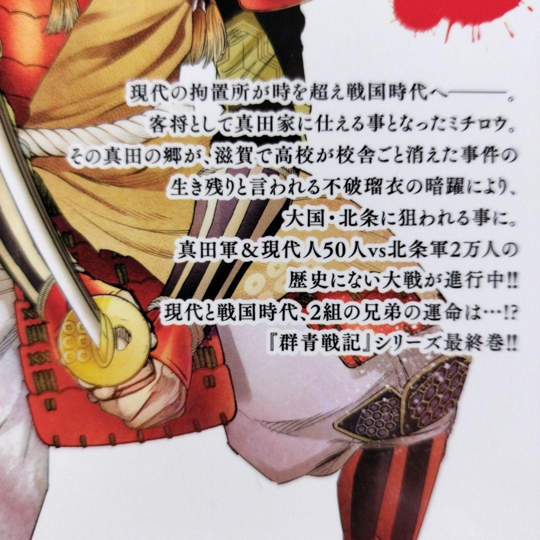 群青戦記、真・群青戦記　全巻22冊セット