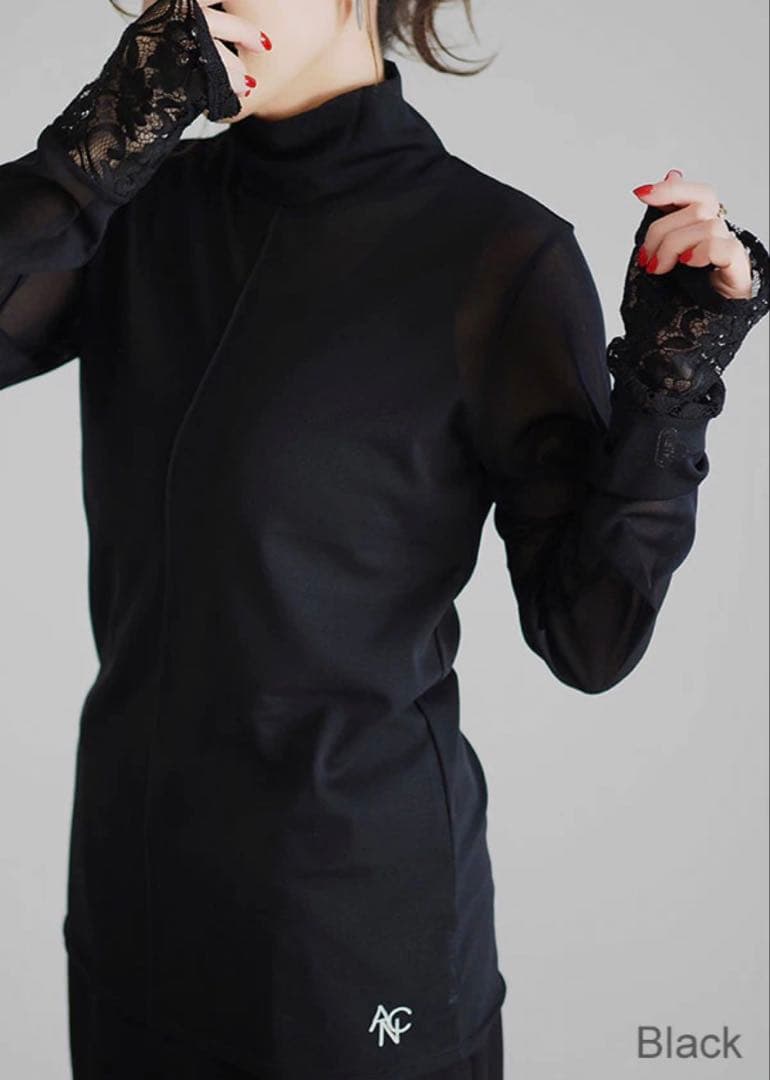 ANIECA High Neck Sheer Tops/ハイネックシアートップス