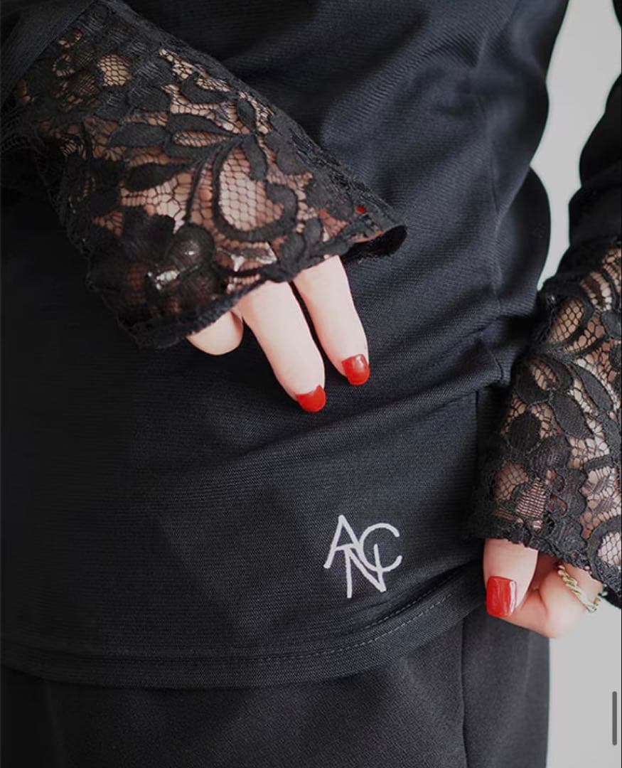 ANIECA High Neck Sheer Tops/ハイネックシアートップス