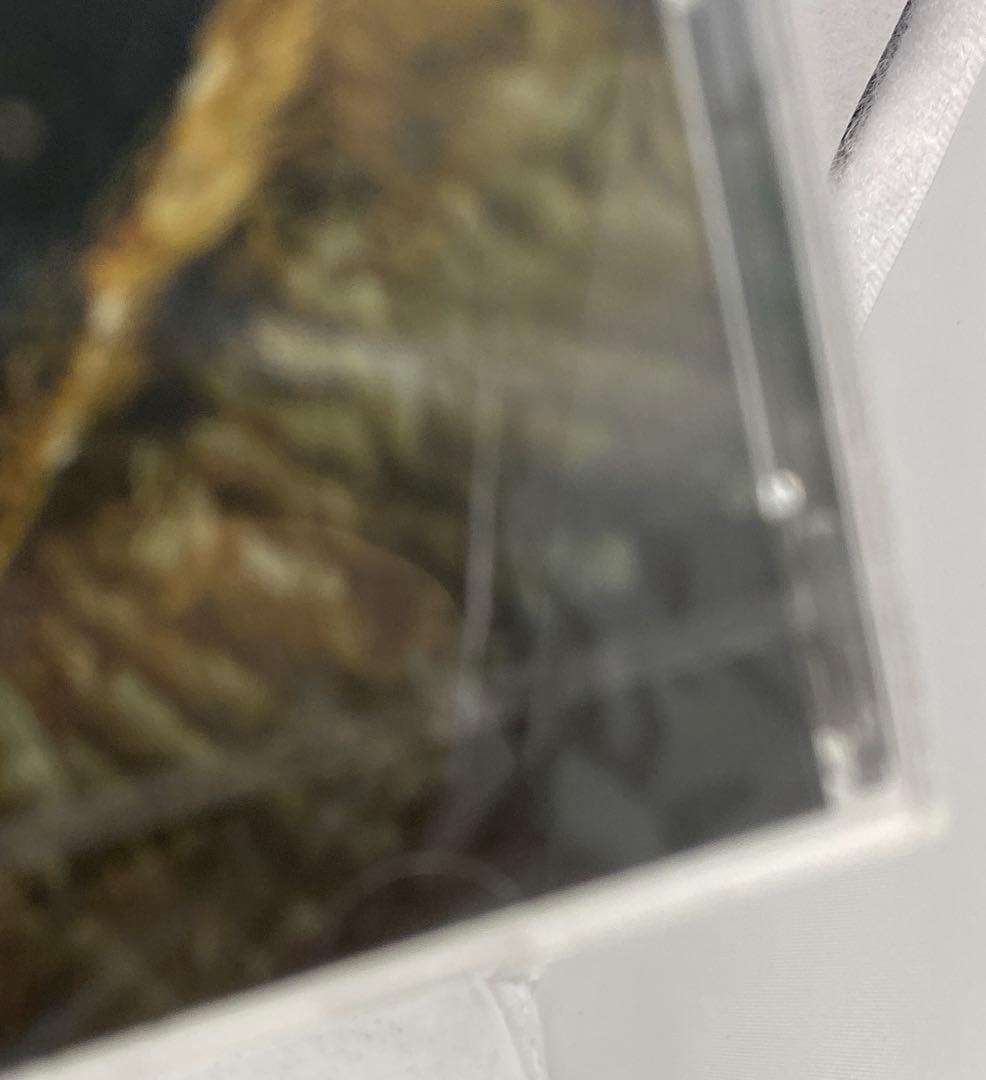 J7 牙をみせろ ザ・プレデターズ