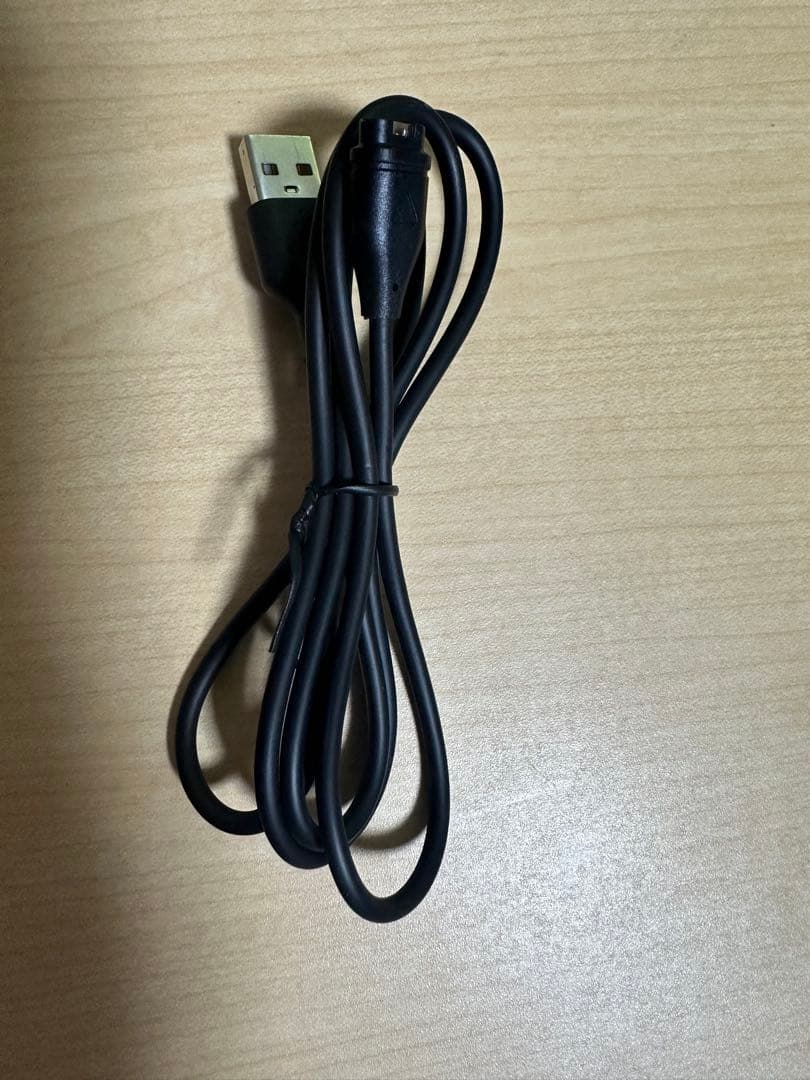 ガーミン ForeAthlete245 ブラック