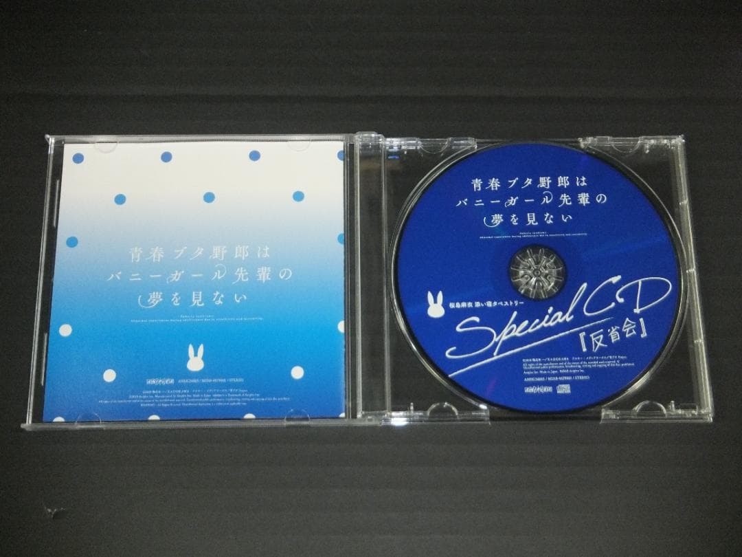 09●桜島麻衣 Special CD 「反省会」　YT0223-1