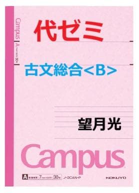 【代ゼミ】『古文総合<B>　望月光先生　第1講授業ノート』+α　　駿台河合塾東進