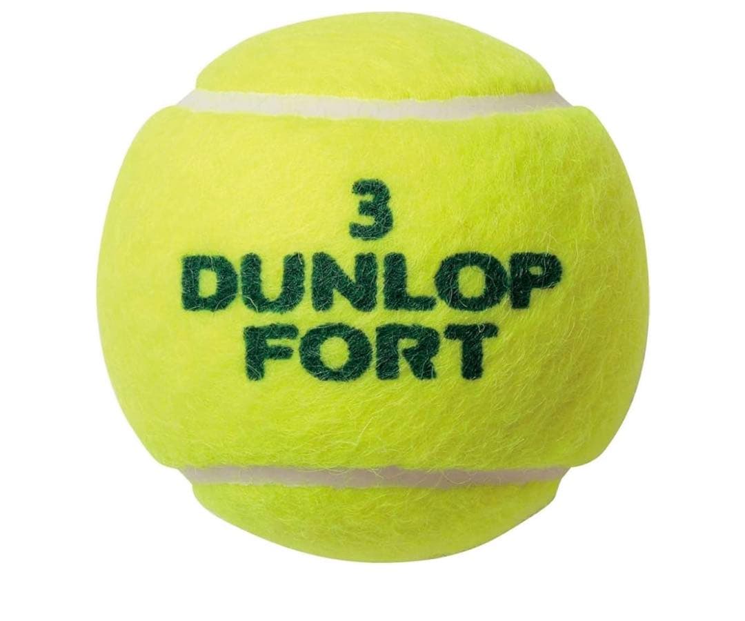 Dunlop Fort ダンロップフォート テニスボール 4球入り24缶セット