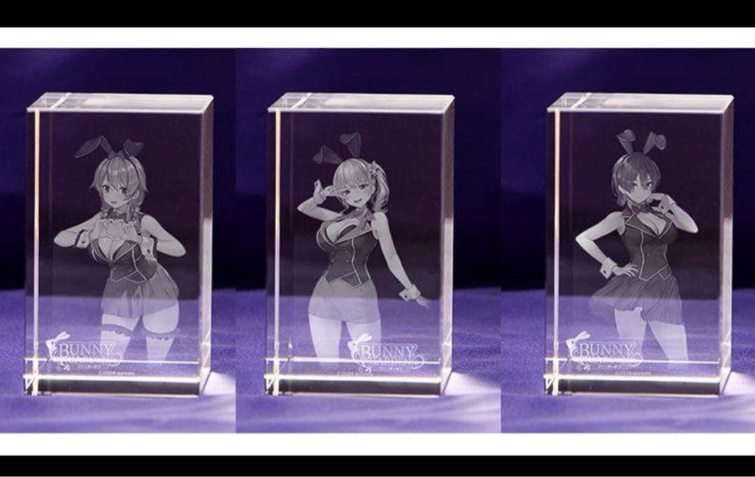 バニーガーデン 入店セットDXパックハーレムVIPセット3Dクリスタルセット3種