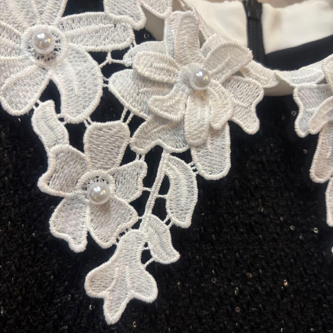 Leja レジャ 花柄レースカラースパンコールAラインワンピース ブラック S