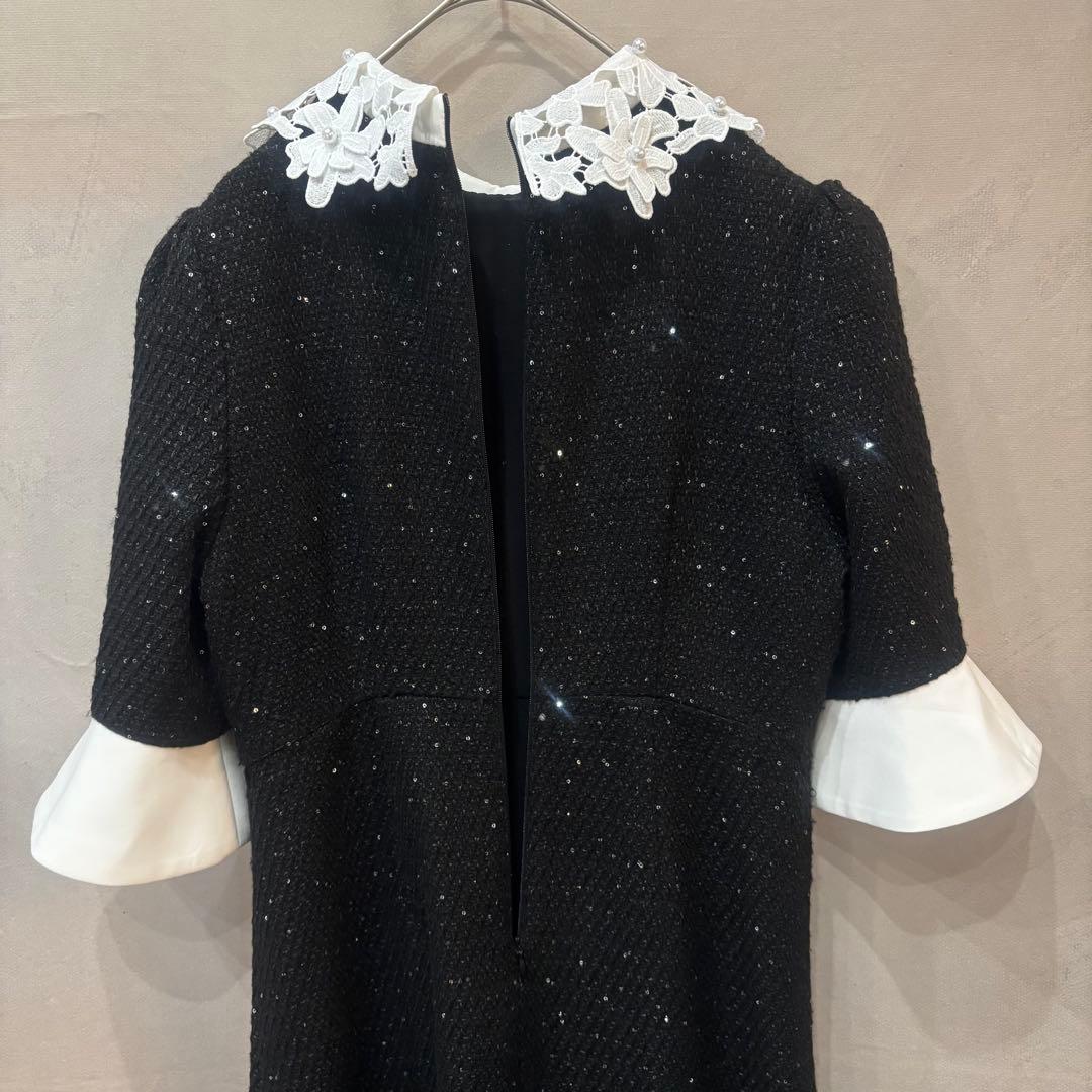 Leja レジャ 花柄レースカラースパンコールAラインワンピース ブラック S