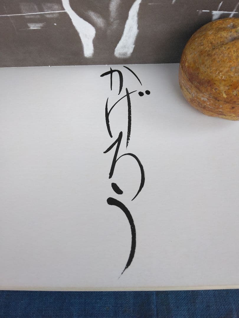 森山大道写真集 (かげろう）