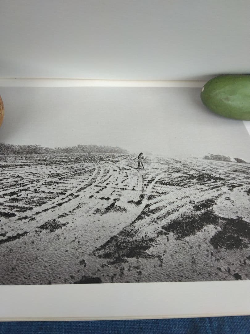 森山大道写真集 (かげろう）