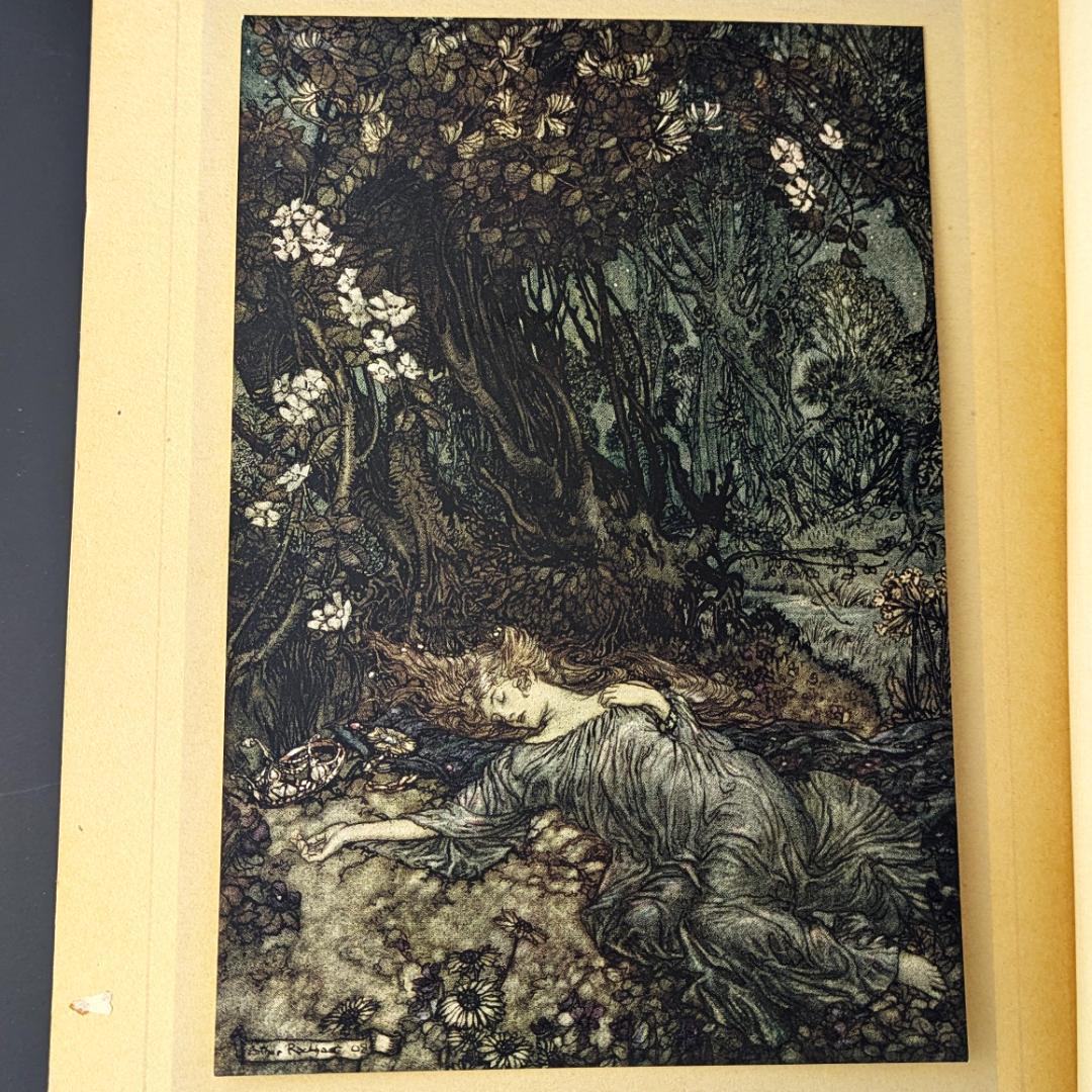 希少な初版 アーサー・ラッカム挿画『真夏の夜の夢』1908年 イラスト40枚総揃