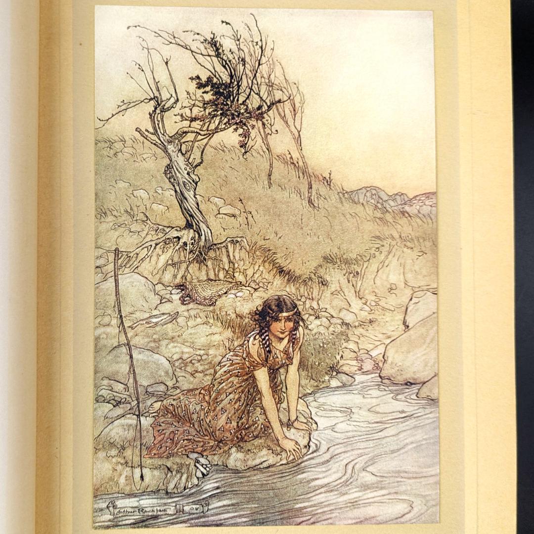 希少な初版 アーサー・ラッカム挿画『真夏の夜の夢』1908年 イラスト40枚総揃