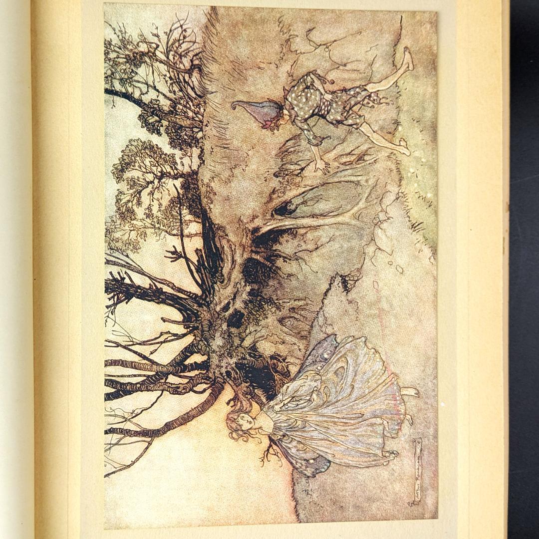 希少な初版 アーサー・ラッカム挿画『真夏の夜の夢』1908年 イラスト40枚総揃