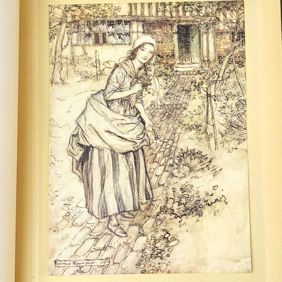 希少な初版 アーサー・ラッカム挿画『真夏の夜の夢』1908年 イラスト40枚総揃