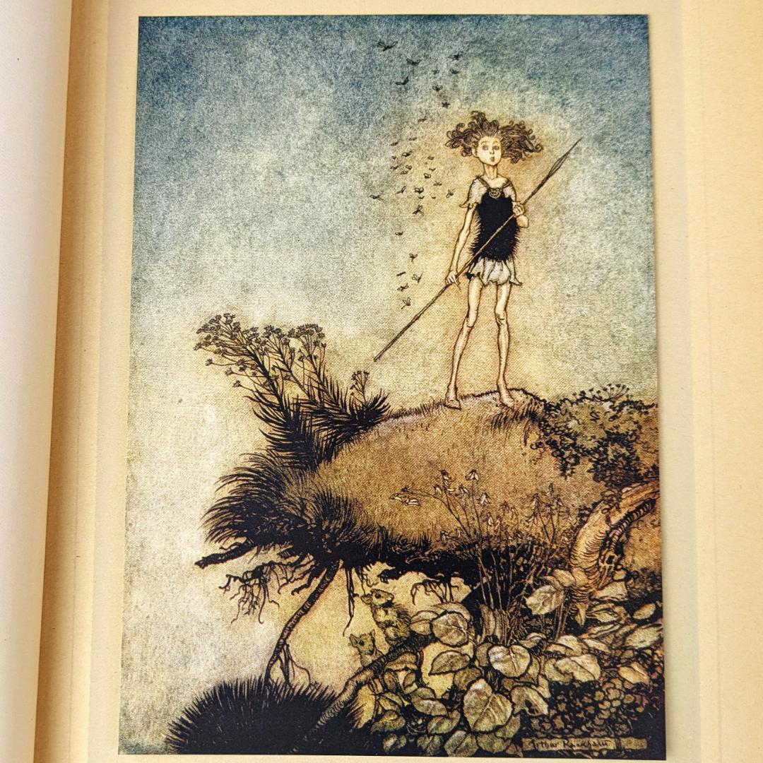 希少な初版 アーサー・ラッカム挿画『真夏の夜の夢』1908年 イラスト40枚総揃