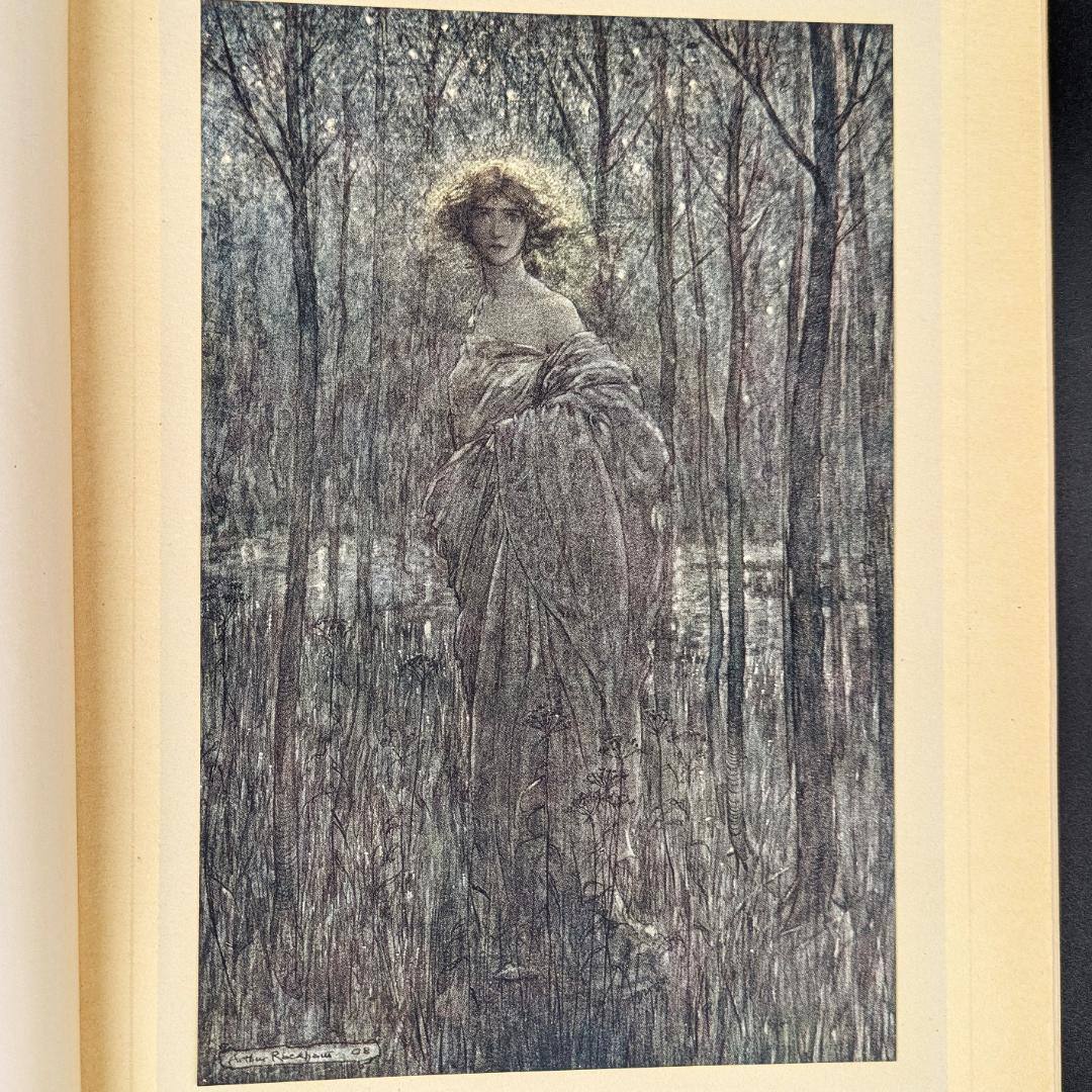 希少な初版 アーサー・ラッカム挿画『真夏の夜の夢』1908年 イラスト40枚総揃