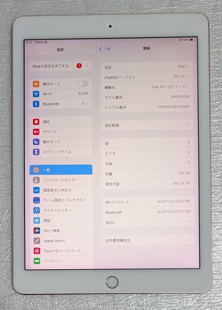 iPad Pro 9.7 インチ 256GB A1673 MM1A2JA