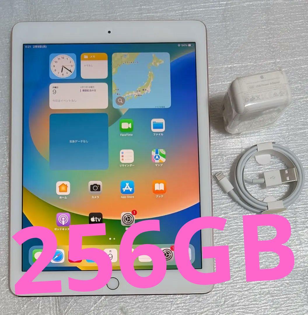 iPad Pro 9.7 インチ 256GB A1673 MM1A2JA