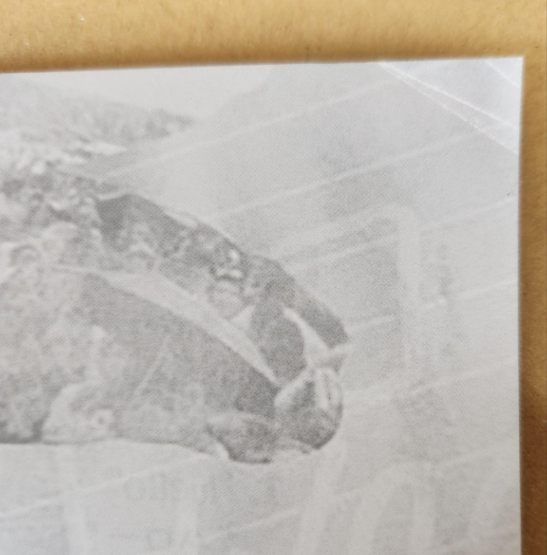 WOODSTOCK BACK TO THE GARDEN 50周年スペシャル