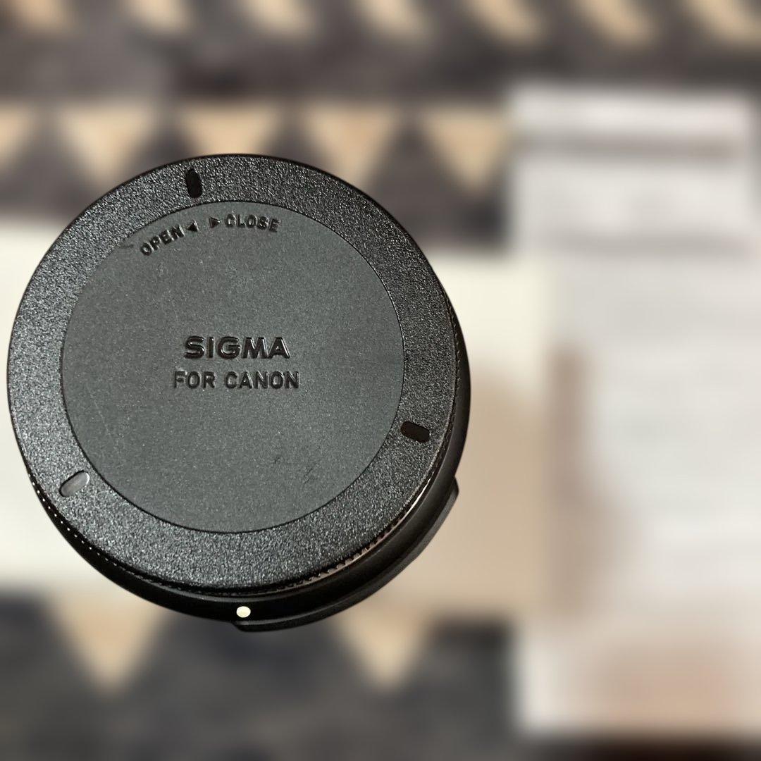 美品 SIGMA 18-300mm F3.5-6.3 DC MACRO