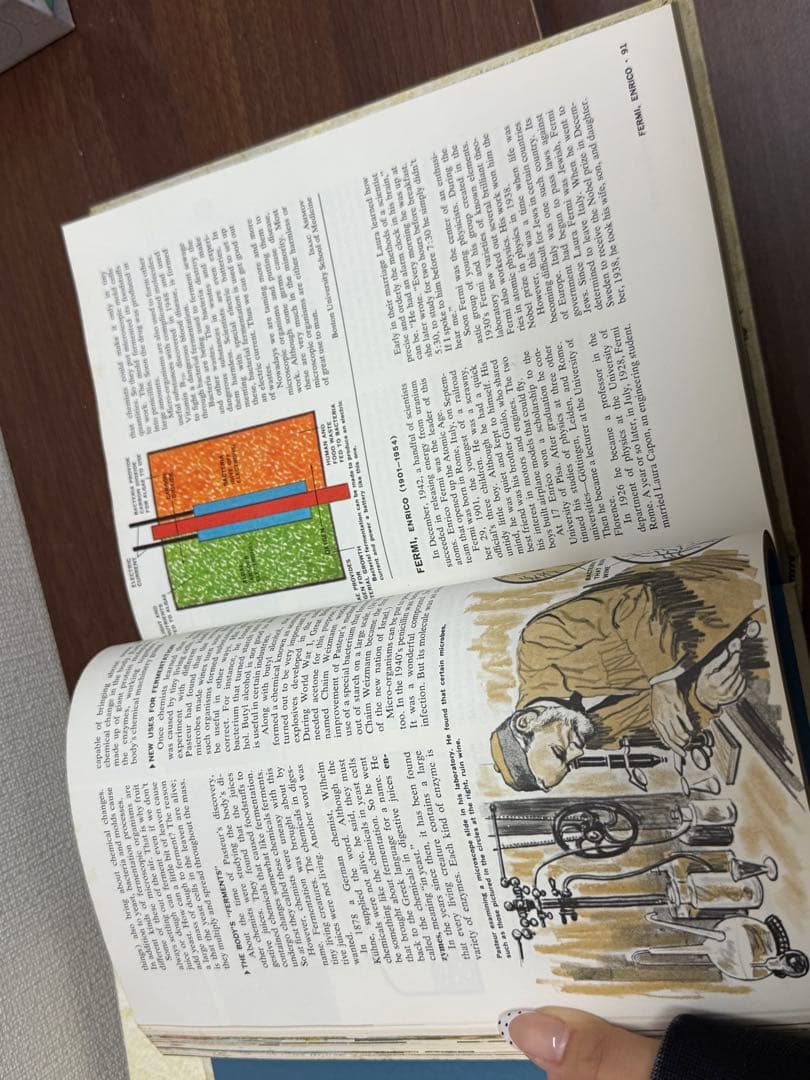 【送料込み】洋書　ザニューブックオブナレッジ　2冊まとめ