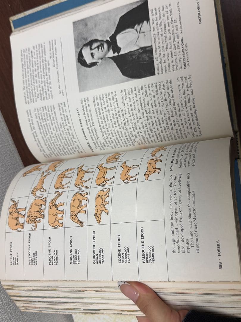 【送料込み】洋書　ザニューブックオブナレッジ　2冊まとめ