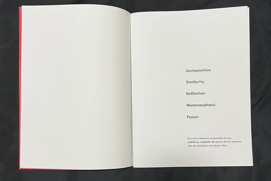 ②COMME des GARCONS Six No.2　コム・デ・ギャルソン