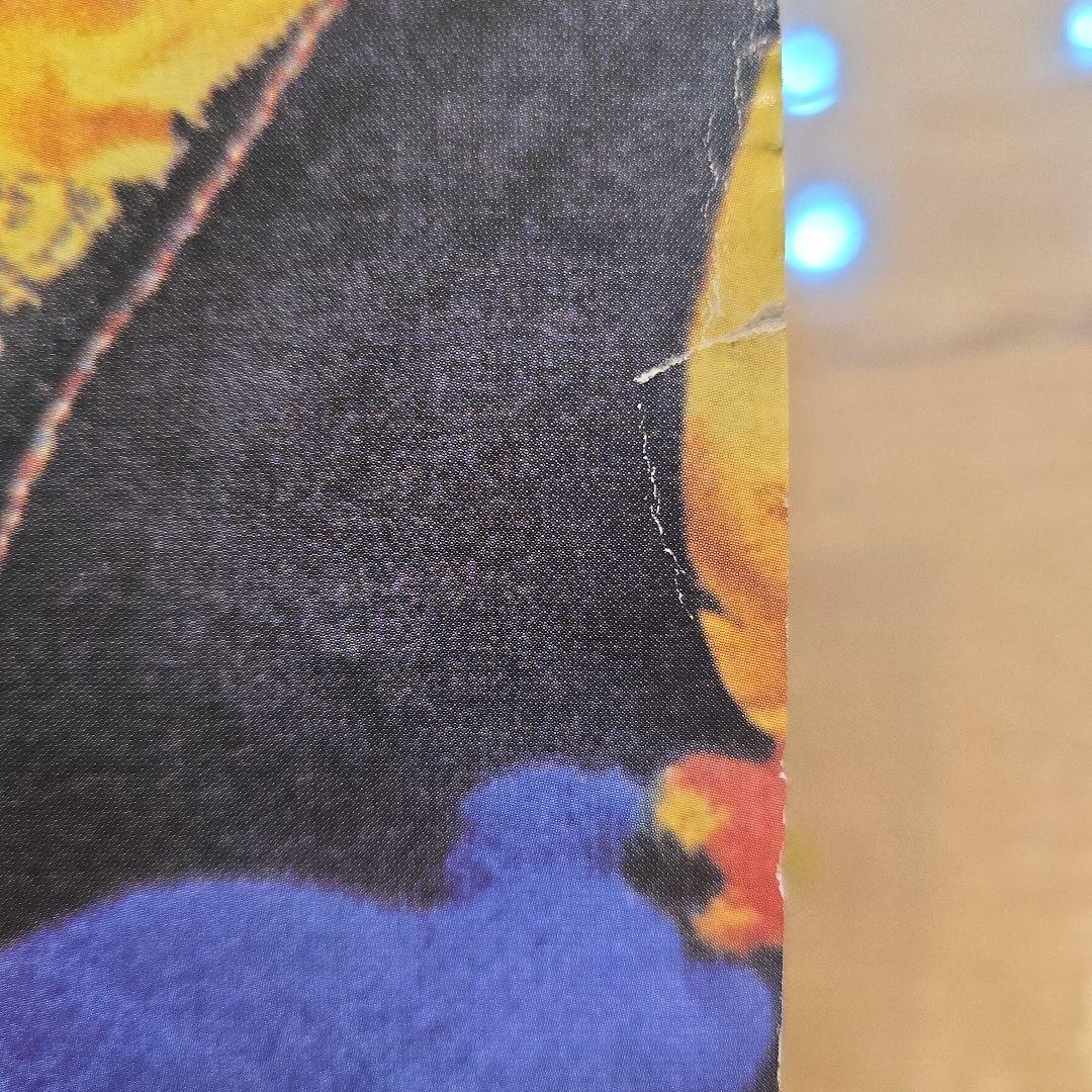 洋楽 Bob Marley & The Wailers Freedom Time