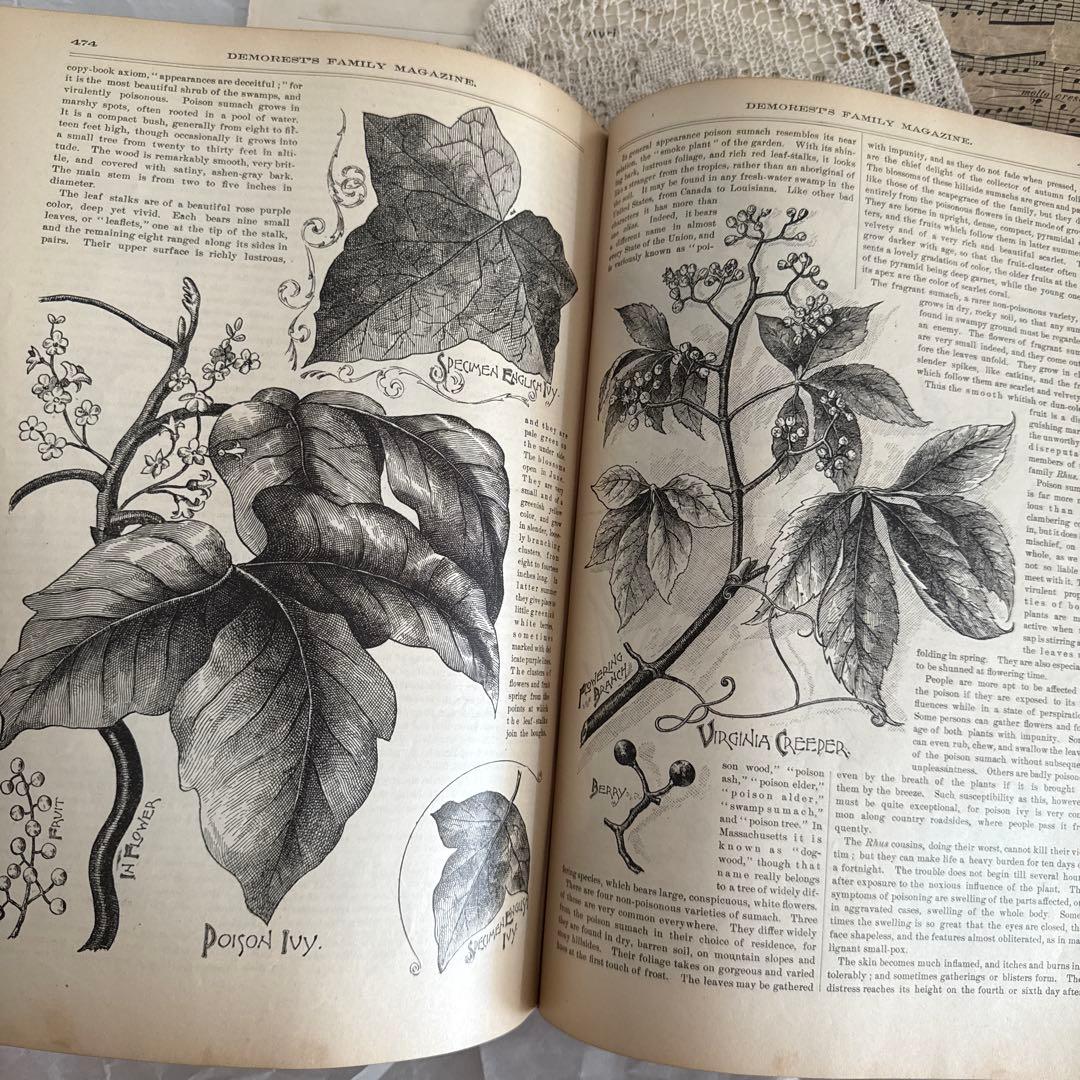 稀少1891年　美しいアンティーク古書ヴィクトリアン洋書　ジャンクジャーナル素材