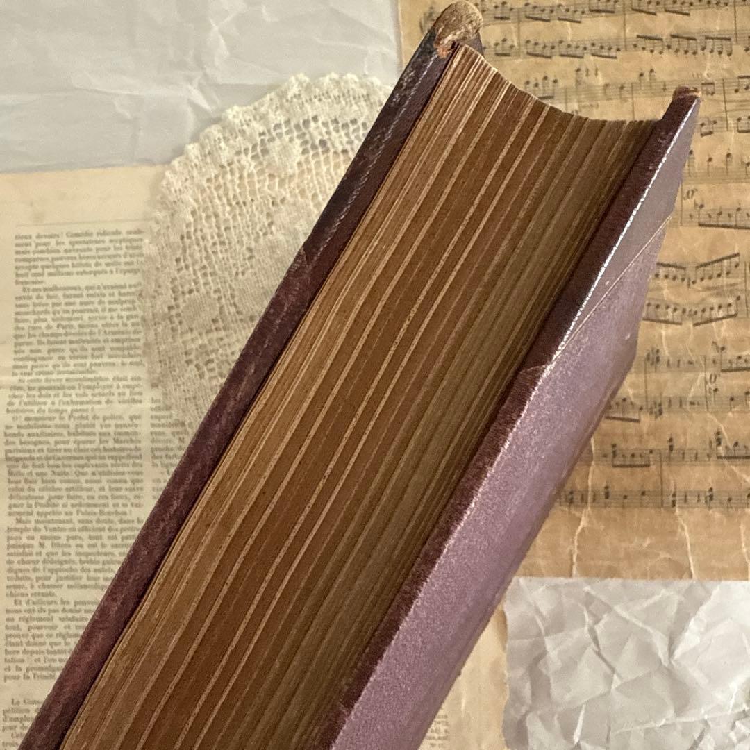 稀少1891年　美しいアンティーク古書ヴィクトリアン洋書　ジャンクジャーナル素材