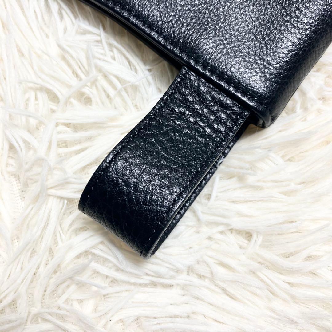 【美品・希少】ペッレモルビダ ハンドバッグ 10th アニバーサリー ブラック