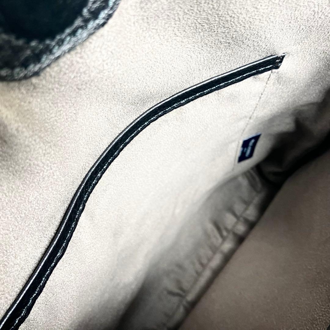 【美品・希少】ペッレモルビダ ハンドバッグ 10th アニバーサリー ブラック