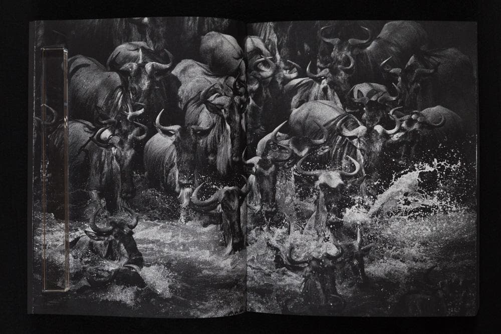 Tomasz Gudzowaty 『Closer』Stidle