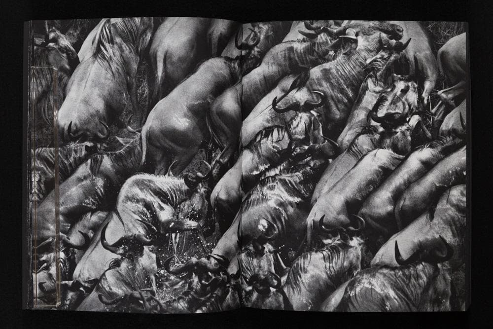 Tomasz Gudzowaty 『Closer』Stidle