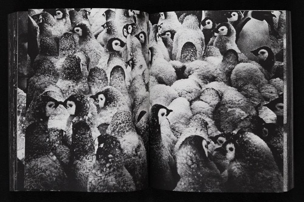 Tomasz Gudzowaty 『Closer』Stidle