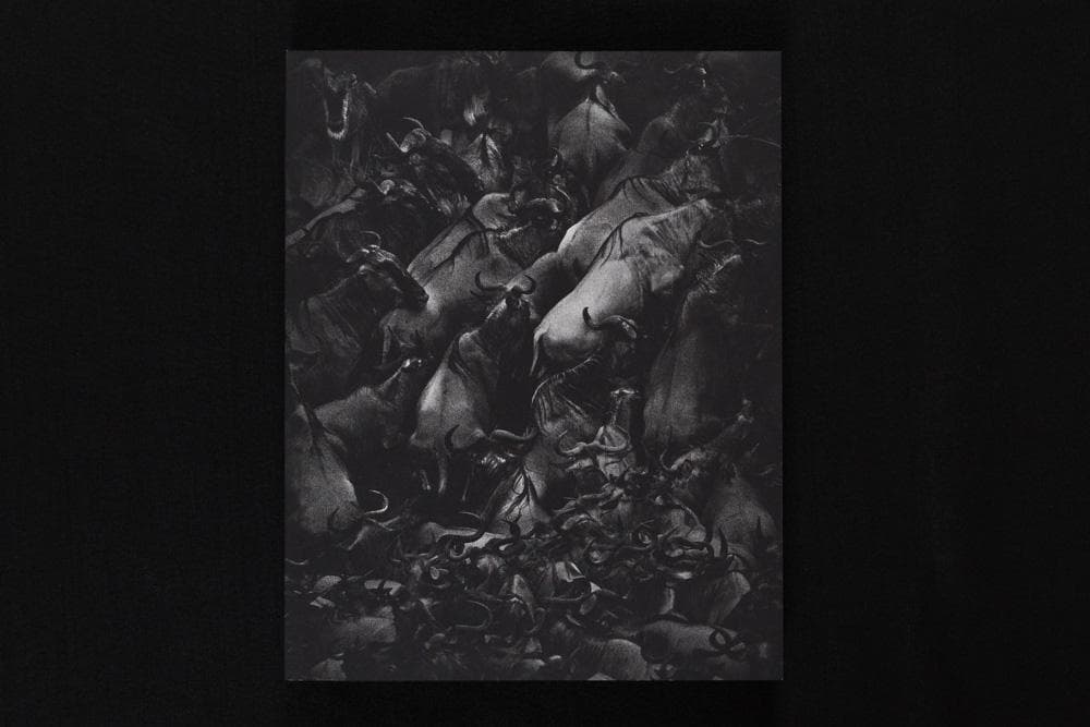 Tomasz Gudzowaty 『Closer』Stidle