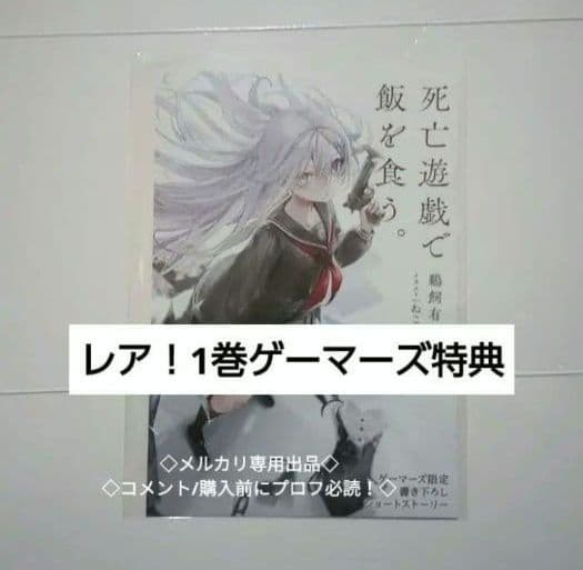 レア　ゲーマーズ 小説1巻　特典　リーフレット