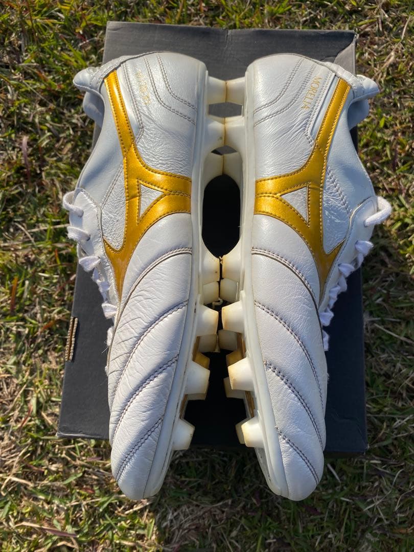 モレリア2Japan 白金 2020 年モデル