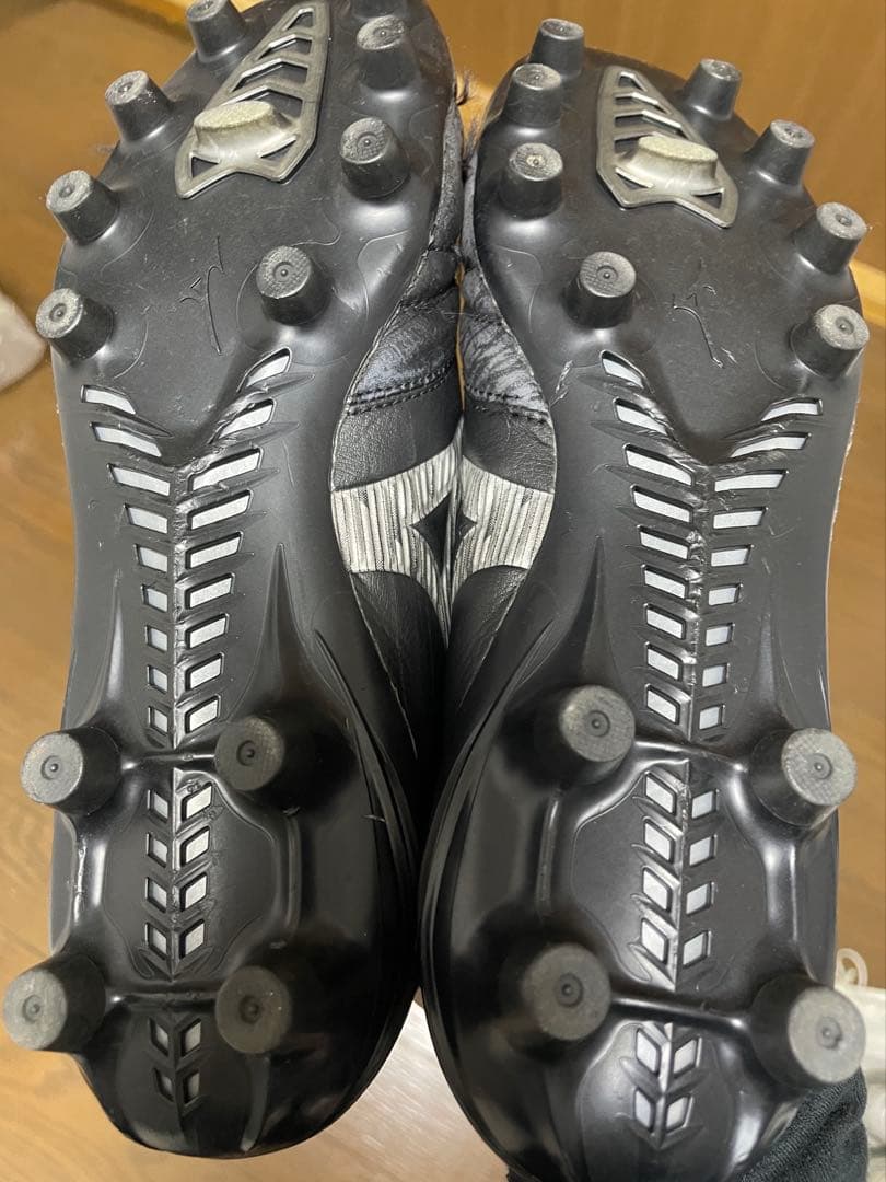 【限定品】モレリア ネオ4 JAPAN