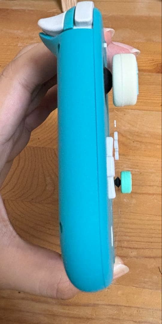 Nintendo Switch あつまれ どうぶつの森